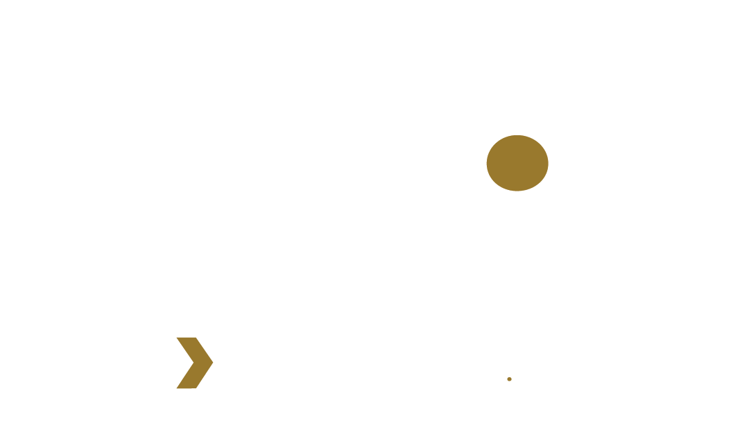 TSP Records logo