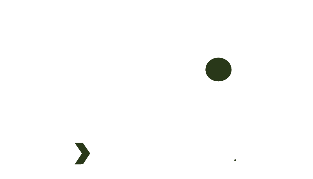 The TSP Residency logo